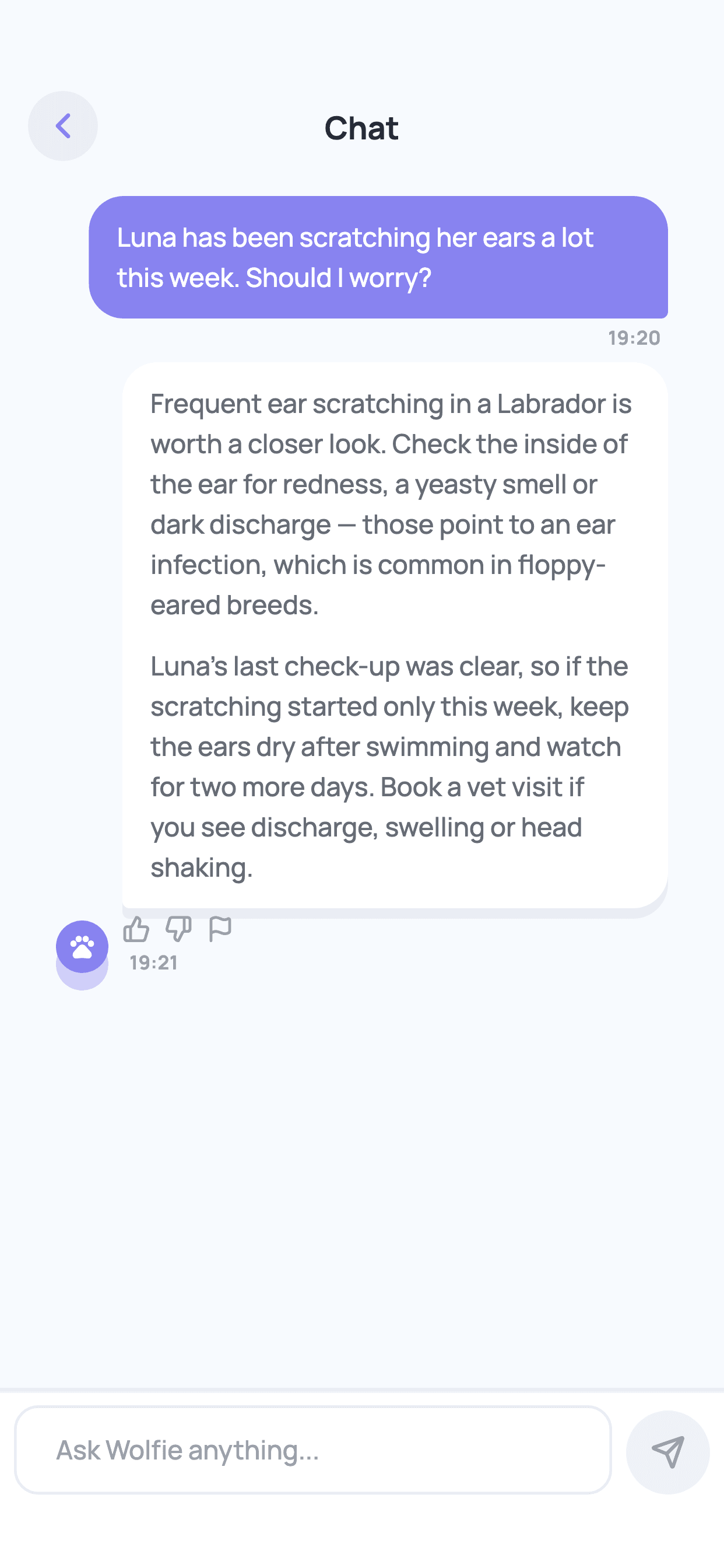 Wolfie Chat screen
