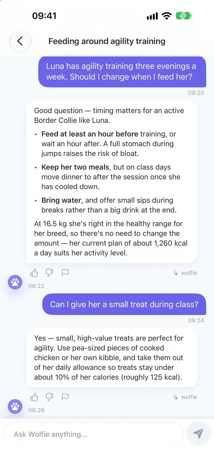 Ask Wolfie anything — Everyday pet-care questions answered by the AI assistant